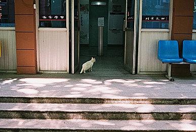 《上古卷轴4：重制版》公布 2006原版和2025年复刻版画面对比